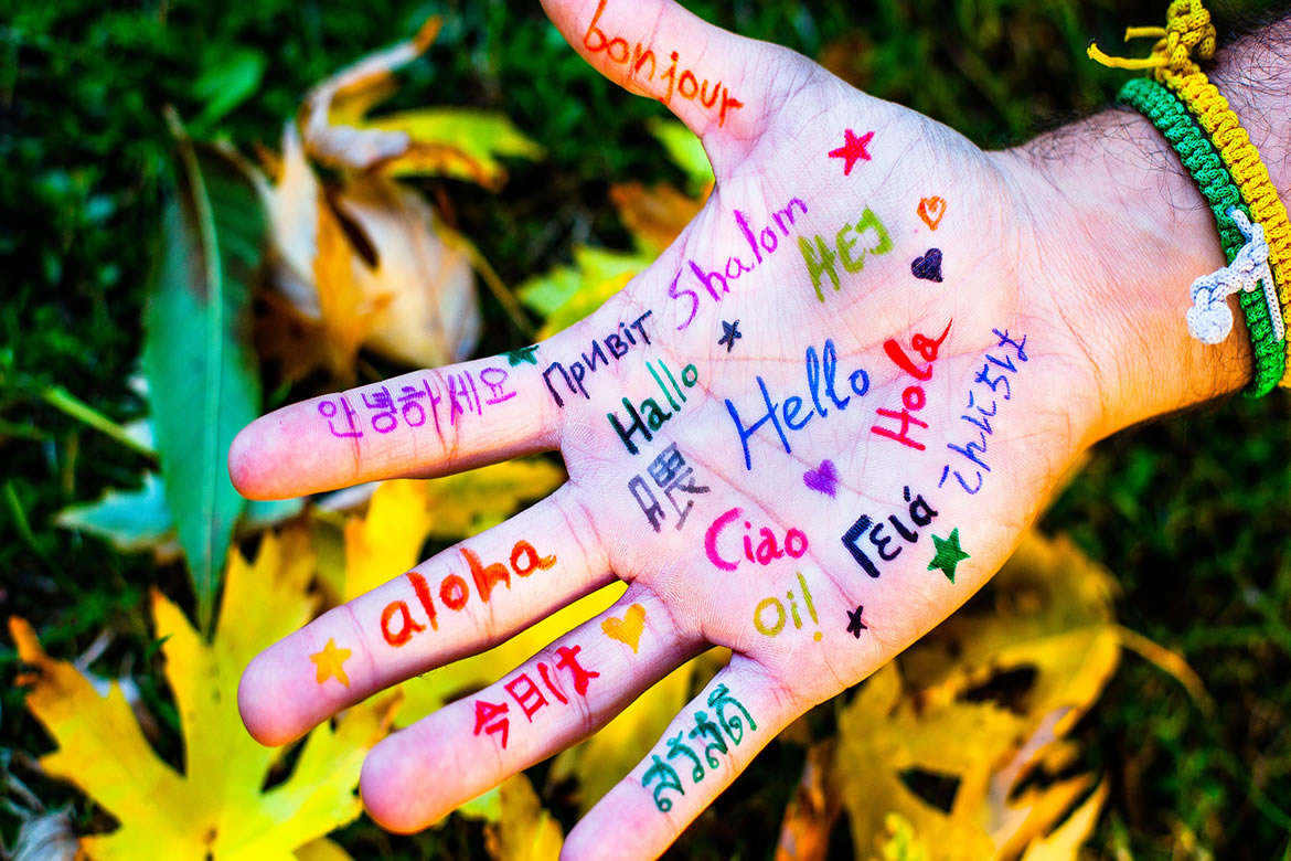 FREEHTML5.co Free HTML5 Template Bootstrap